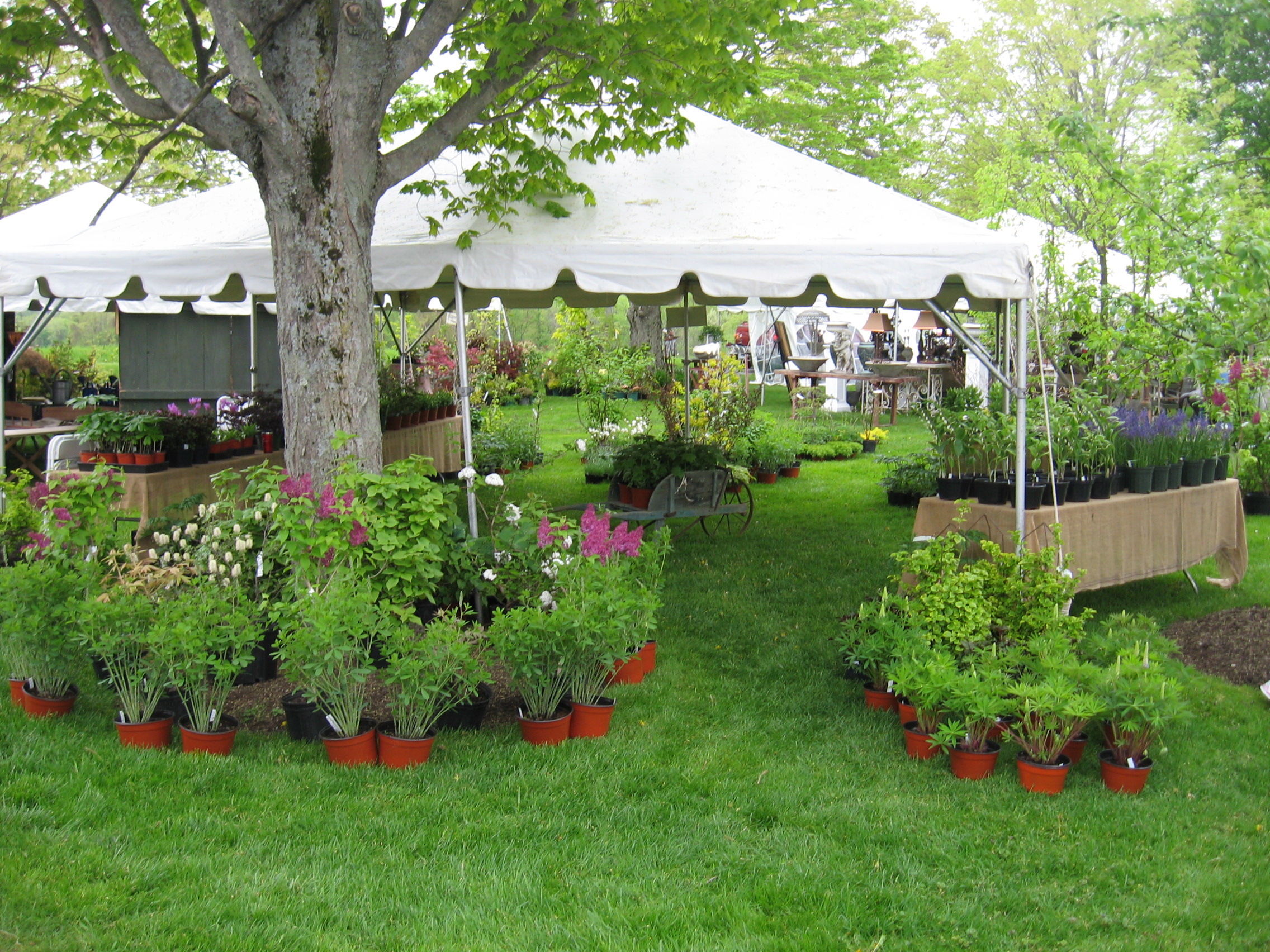 Events – Falls Village Flower Farm